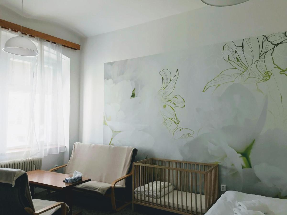 דירות Opočno Apartman Na Namesti מראה חיצוני תמונה